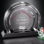Halo Award 8